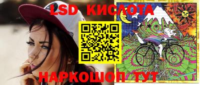 молекула духа Камышлов
