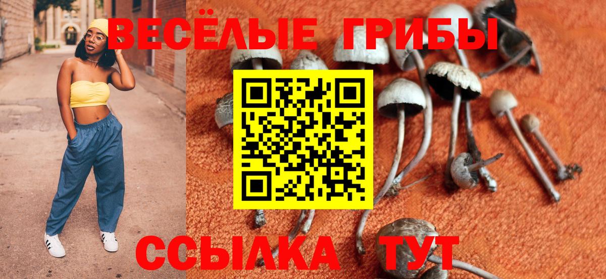 Псилоцибиновые грибы Magic Shrooms  Псилоцибиновые грибы прущие грибы  Кубинка  Вход с VPN 