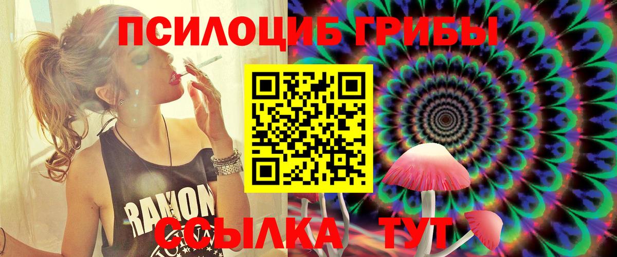 Псилоцибиновые грибы Psilocybe Кубинка